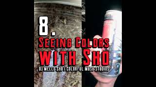 8 Seeing Color with Sho  Founder of Colorful Muse Studio [upl. by Atiugal948]