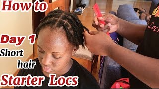 Should You Be Interlocking Your Locs  Protips from Loctician [upl. by Eisnil859]