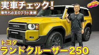 【歴代再生1位！200万再生突破】トヨタ ランドクルーザー250 実車詳細レビュー！ コレは欲しい！魅力的1台が登場！ 2024 toyota land cruiser [upl. by Acinna]