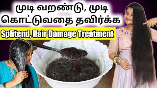 உங்க முடி வறண்டு போய் முடி ரொம்ப கொட்டுதா Splitend Hair Damage Treatment at home  Jegathees meena [upl. by Ainoet]