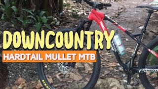 DOWNCOUNTRY  HARDTAIL MULLET MOUNTAINBIKE [upl. by Irmgard]