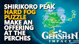 Shirikoro Peak Mist Puzzle Find Your Way through the mist Genshin Impact [upl. by Hallsy989]