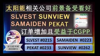 动力股回顾  20230813 part1  SUNVIEW SLVEST PEKAT得利于CGPP  SAMAIDEN  太阳能板块新行情  详细了解各股订单、前景展望及股价分析 [upl. by Etem]