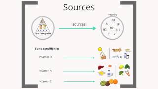 Micronutrients  basic knowledge [upl. by Adnilym436]