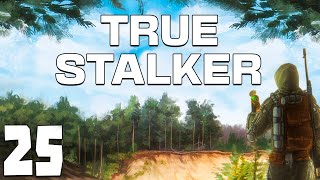 STALKER True Stalker 25 Провал в Х16 [upl. by Noivad497]