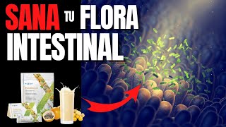 🔴¿CÓMO RESTAURAR LA FLORA INTESTINAL  HOW TO RESTORE INTESTINAL FLORA [upl. by Anitrak309]