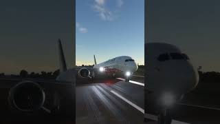 SKIPPY FOZZY best landing in a Boeing 787 [upl. by Elbas]