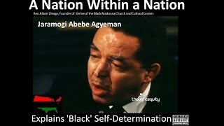 RBG A Nation Within a Nation Jaramogi Abebe Agyeman Explains Black SelfDetermination [upl. by Joscelin]