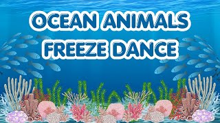 Ocean Animals Freeze Dance  Dance and Freeze [upl. by Aramoiz356]