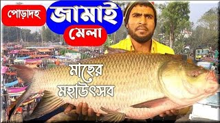 দেশের বৃহত্তম মাছের মেলা । পোড়াদহের জামাই মেলা ২০২৪। [upl. by Esojnauj]