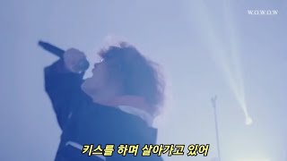 Vaundy 바운디  不可幸力 불가행력 가사 번역 wowwow Museum live on youtube ver [upl. by Amaty630]