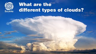 What Are the Different Types of Clouds [upl. by Evangeline]