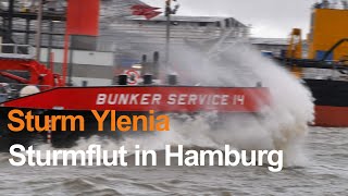 STURMFLUT IN HAMBURG Sturmtief Ylenia bewegt Wassermassen [upl. by Naehs]