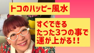 たった3つですぐに開運。誰にでも出来る簡単な方法。ドクターコパさんに出会って15年のトコが教える。風水は大人のおまじない。おうち時間を有効に。まずは冷蔵庫の扉から。 [upl. by Erskine]