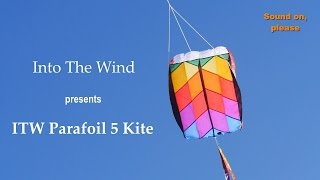 Into The Wind Parafoil 5 Kite [upl. by Nessi]