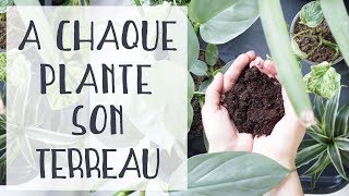 🌿 Quel terreau pour quelles plantes dintérieur [upl. by Kcyred]