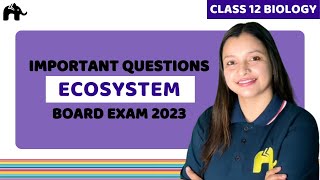 Ecosystem Class 12 Biology  Important Questions and Topics for Board Exam [upl. by Normi]