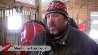 Choosing A Harness Driver  Standardbred Canada Video Feature [upl. by Cutlor]