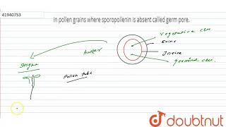In pollen grains where sporopollenin is absent called germ pore [upl. by Nagaem793]