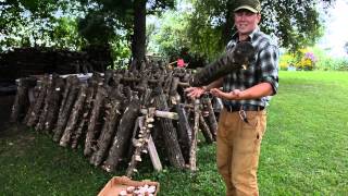 Agroforestry Cultivation of Shiitake Mushrooms [upl. by Bernhard]