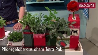 Pflanzgefäße aus TetraPak  DIY Sommerdeko  summer decoration  BLOOM’s Floristik [upl. by Aicak340]