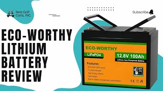 EcoWorthy Lithium Battery Review 2024  Features Pros and Cons [upl. by Nosnhoj636]