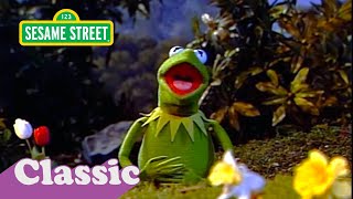 I Wonder Bout The World Song with Kermit  Sesame Street Classic [upl. by Jocelyn939]