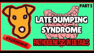 Late Dumping Syndrome pathogenesis Mechanism of Reactive Hypoglycemia [upl. by Noemys]