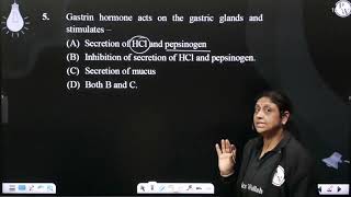 Gastrin hormone acts on the gastric glands and stimulates [upl. by Oznola]