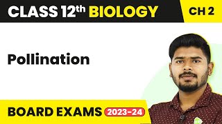 Pollination  Sexual Reproduction in Flowering Plants  Class 12 Biology 202223 [upl. by Eatnod181]