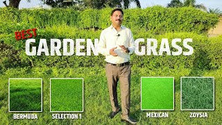 Best Grass For Home Lawn 🌿 Vikas Rathore  9761407166  How to Grow Grass in Lawn AshiyanaVlogs [upl. by Noffihc]