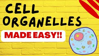 Cell Biology Cell Organelles explained in 5 minutes [upl. by Bravin]