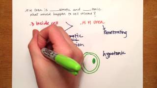 LPA 1C  Osmolarity Practice Problems [upl. by Forster697]