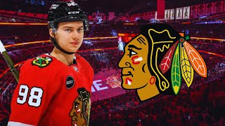 Chicago Blackhawks Season Preview 202425 [upl. by Rhynd]