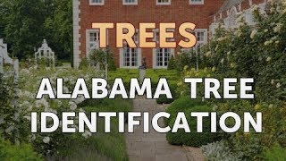 Alabama Tree Identification [upl. by Enaujed]