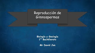 Reproduccion gimnospermas [upl. by Thalia459]