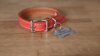 How To Attach A Hanging ID Tag Onto A Dog Collar [upl. by Ellett]