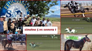 ASÍ FUE El COMPROMISO EN OBREGÓN SONORA🔥🏆🌧️🤠🔥💨carreras de bestias mularesranchero95 [upl. by Drallim]