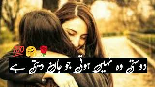 Dosti Shayari  Friendship Shayari 2 line  New Friendship Poetry in Urdu 2022 [upl. by Selda]