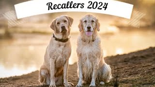 Dog Training Using Recallers Games Is …an integral part of our life [upl. by Uok]