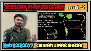 Sensory Photobiology part2 csirnet lifesciences gate icmr [upl. by Bolger]