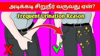 அடிக்கடி சிறுநீர் வருதா  Frequent urination tamil  urine problem tamil  urineproblemtamil [upl. by Adrienne]