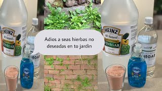 Herbicida casero con sólo 3 ingredientes sin químicos dañinos [upl. by Eerised883]