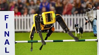 I Entered A Robot Dog Into A Dog Competition [upl. by Hayes]