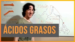 Ácidos Grasos [upl. by Ginelle]