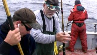 Rampage tuna fishing Westport Washington pt 1 [upl. by Tserof]