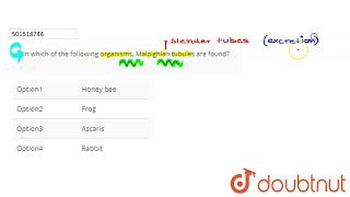 In which of the following organisms Malpighian tubules are found  CLASS 11  ANIMAL KINGDOM [upl. by Weisberg981]