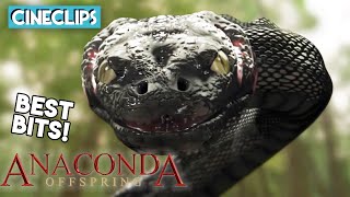 Anaconda 3 Wildest Moments  Anaconda 3 Offspring [upl. by Enyawud]