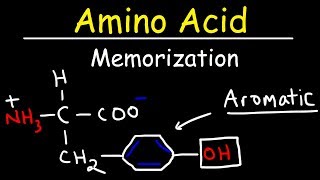 Memorize The 20 Amino Acids  The Easy Way [upl. by Lemaj]