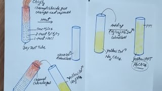 chromyl chloride testfor class11 12NEETJEE [upl. by Sinnelg]